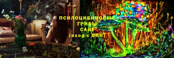 герыч Алексин