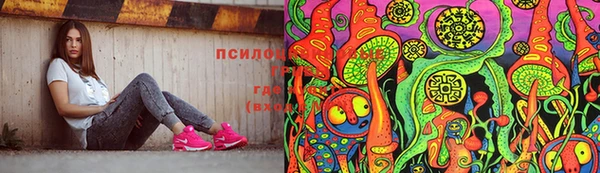 герыч Алексин